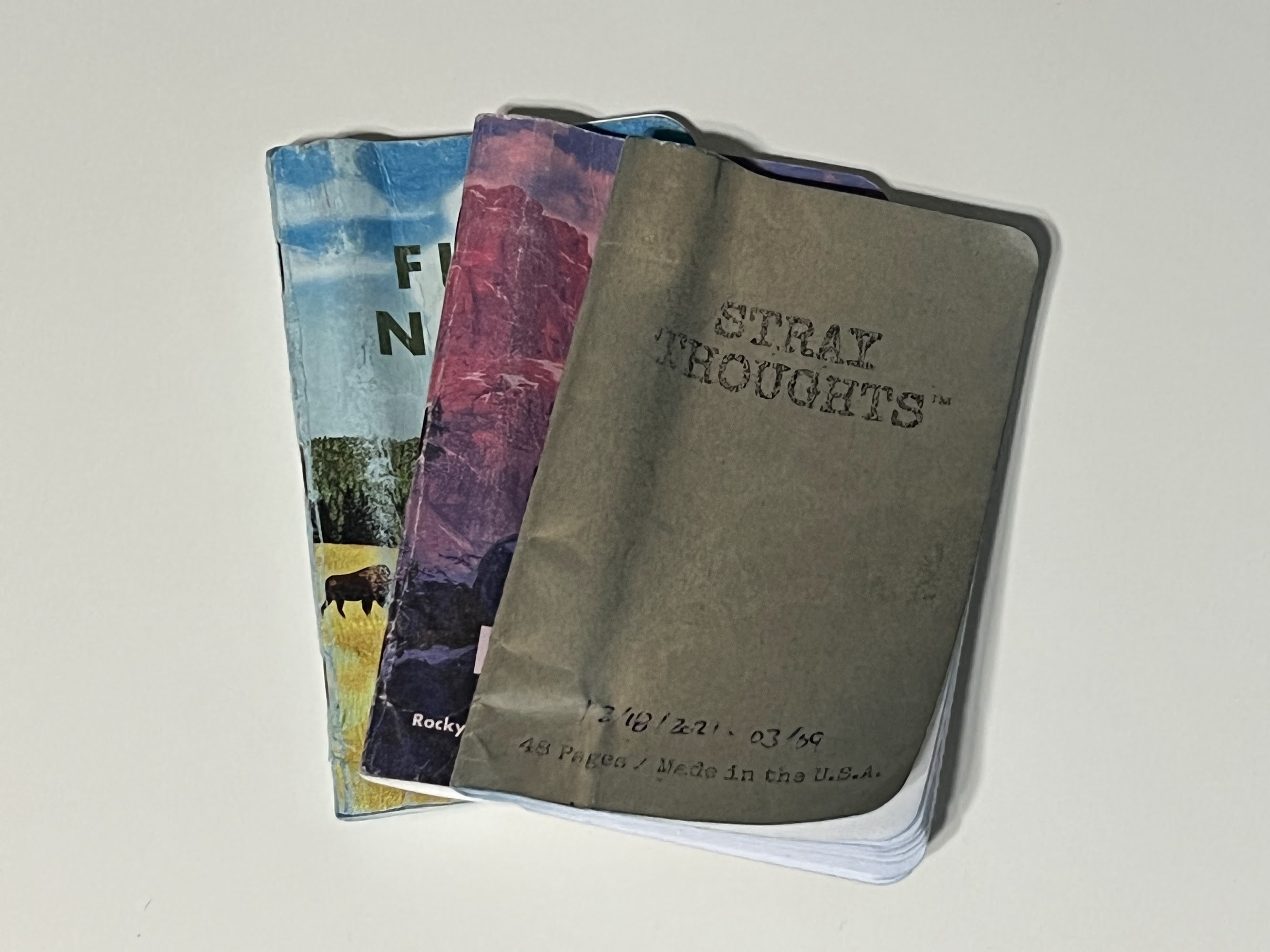 Three Stray Thoughts Notebooks